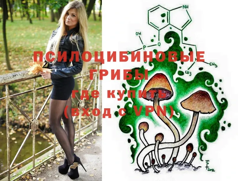 Псилоцибиновые грибы Psilocybe  где купить наркоту  omg tor  Мамадыш 